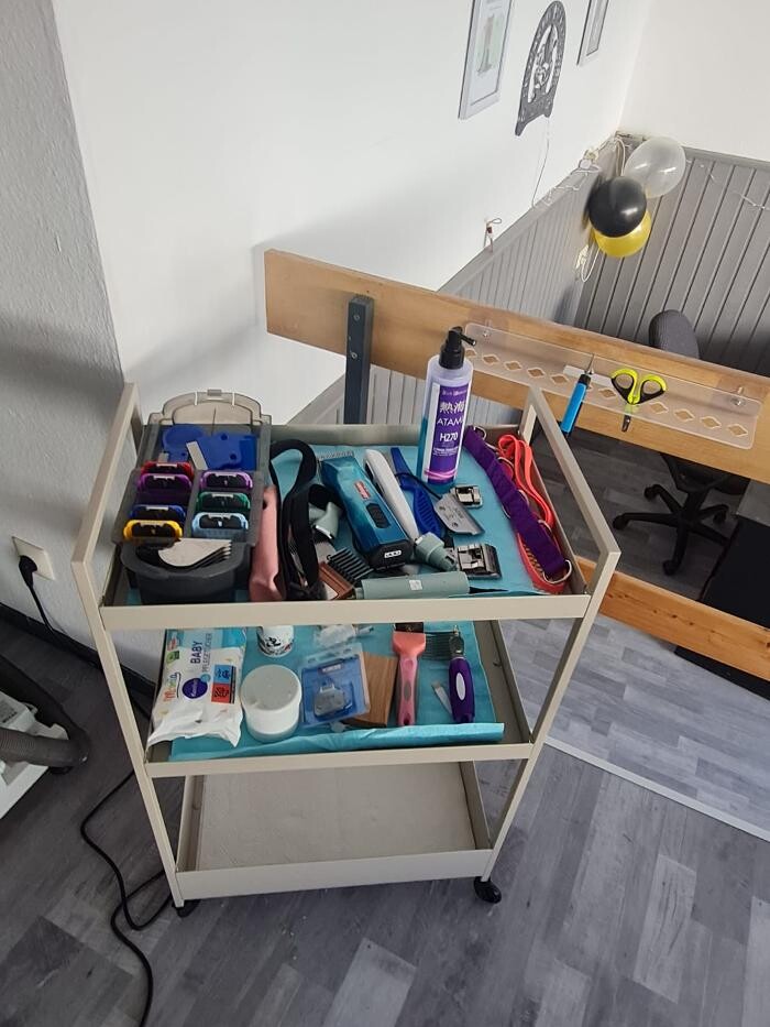 Bilder Hundesalon Engstingen