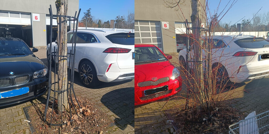 Bilder AS Hausmeisterservice