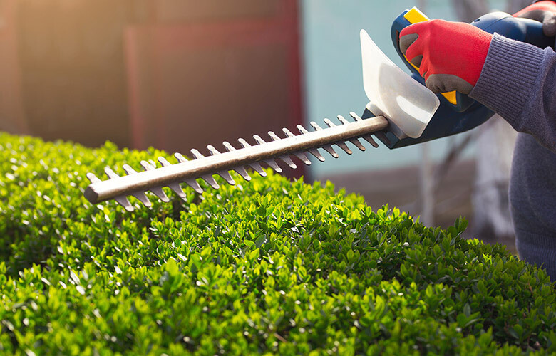 Bilder Garten und Landschaftsbau Krebs