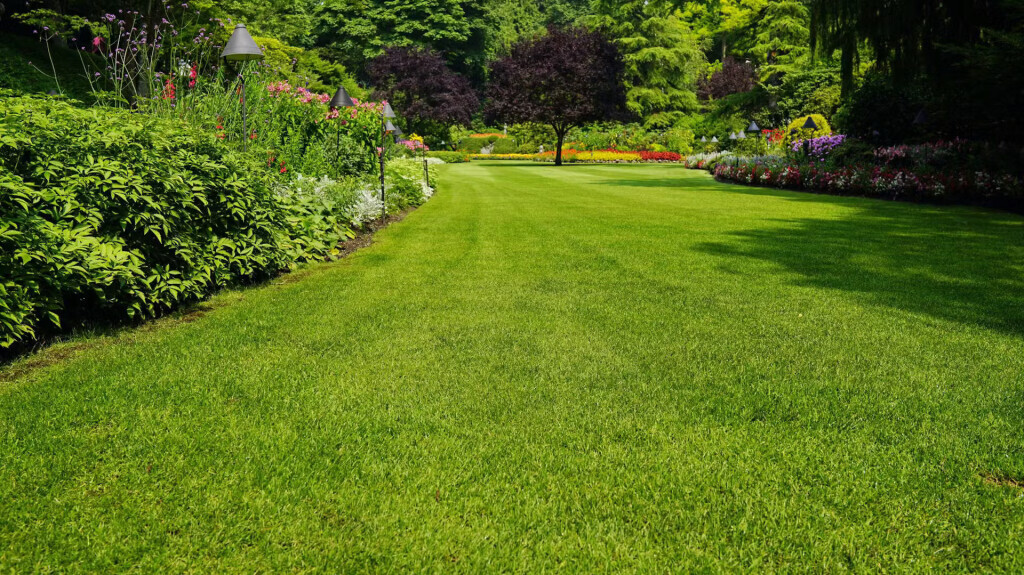 Bilder Garten und Landschaftsbau Krebs