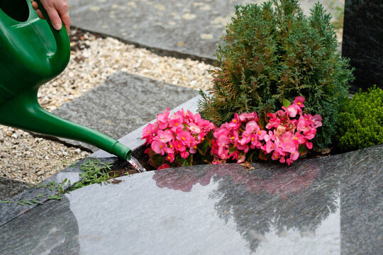 Bilder Garten und Landschaftsbau Krebs