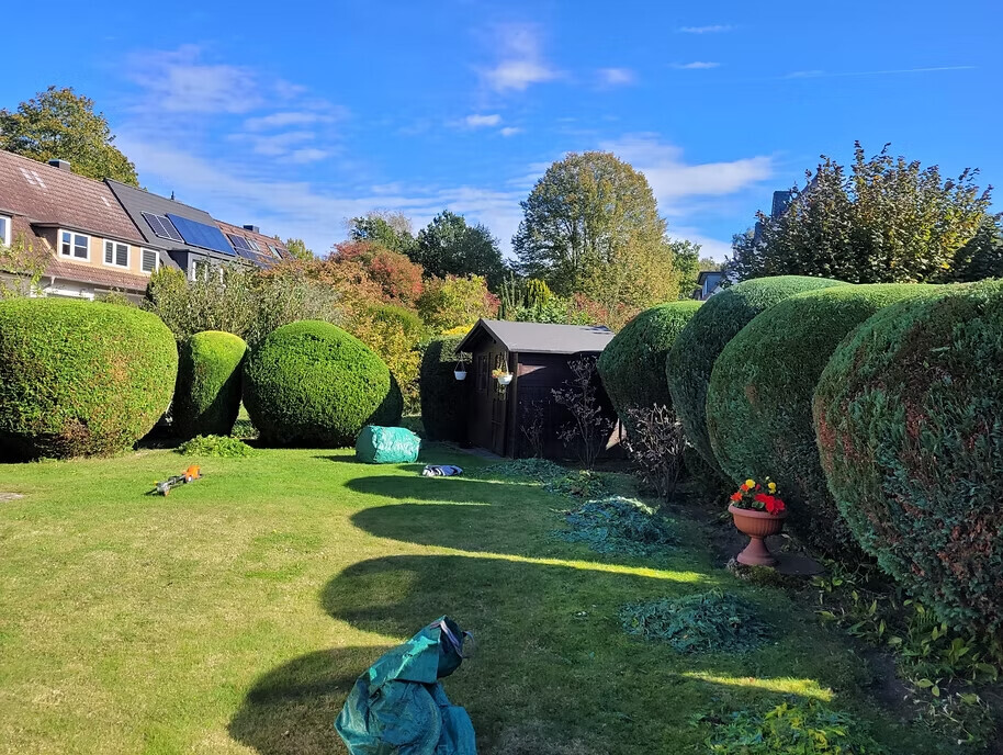 Bilder RX Immobilienservice