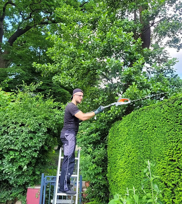 Bilder RX Immobilienservice