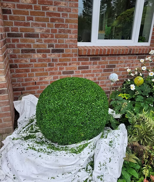 Bilder RX Immobilienservice