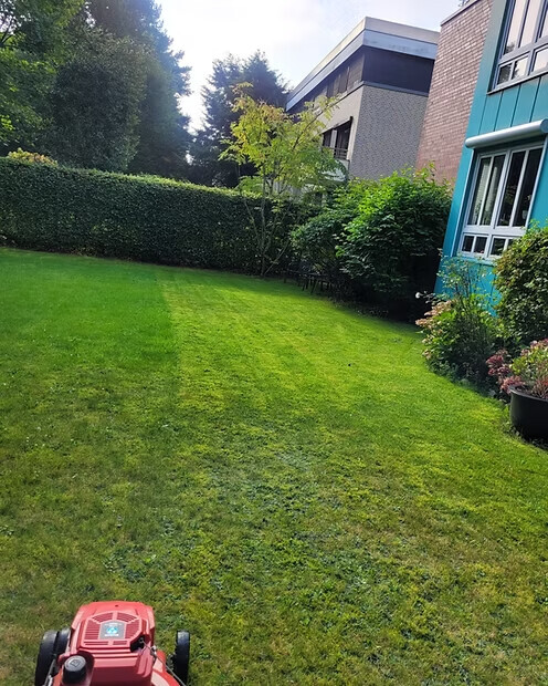 Bilder RX Immobilienservice