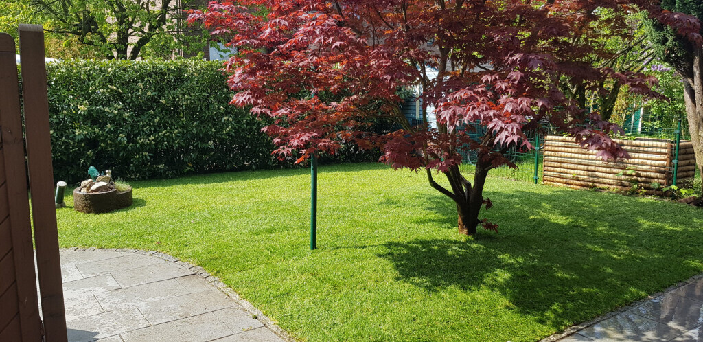 Bilder Kaya Dienstleistung & GaLaBau