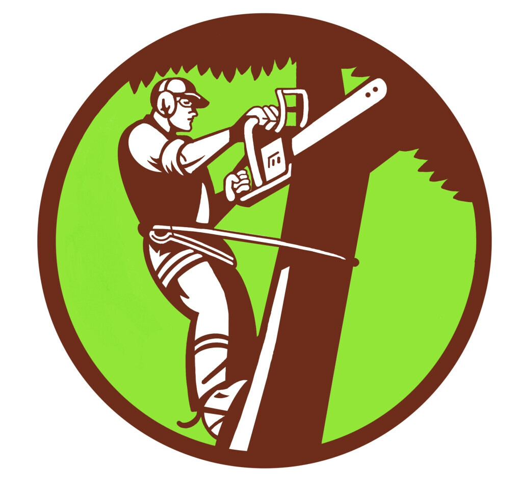 Baumdoktor Futter Logo