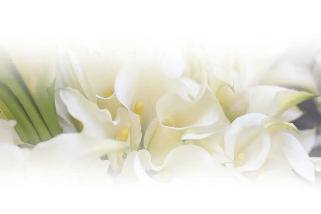 Bilder Bestattungen Braun und Schmitt