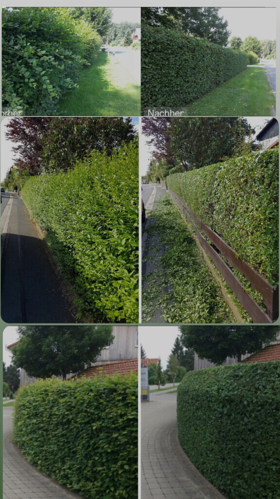 Bilder Bauplus