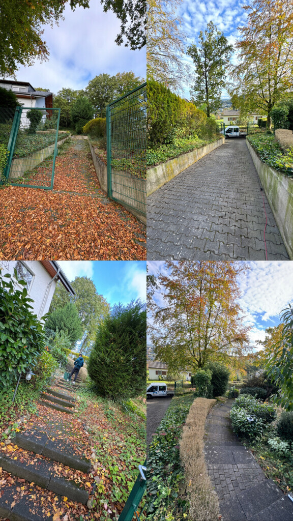Bilder Bauplus