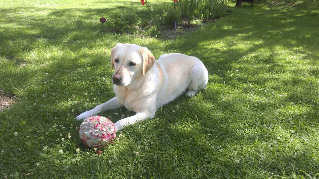 Bilder Testeintrag4 App-Test4