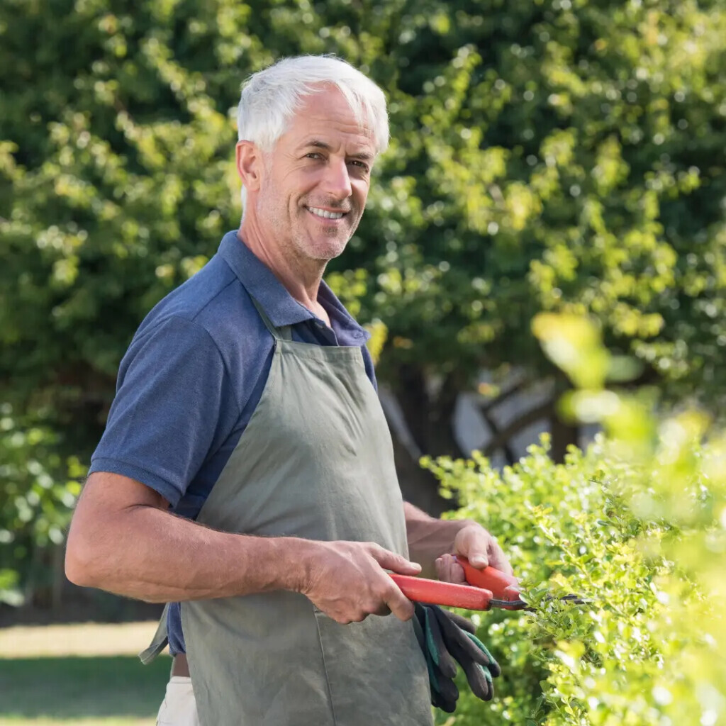Bilder Zeid Entrümpelung Berlin