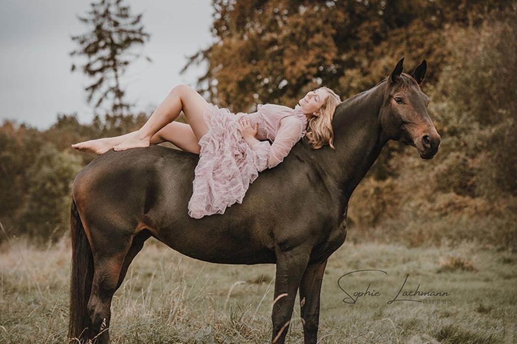 Bilder Sophie Lachmann Fotografie