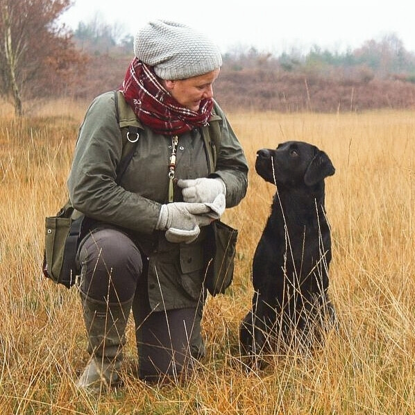 Bilder Wald und Hund Hundetraining