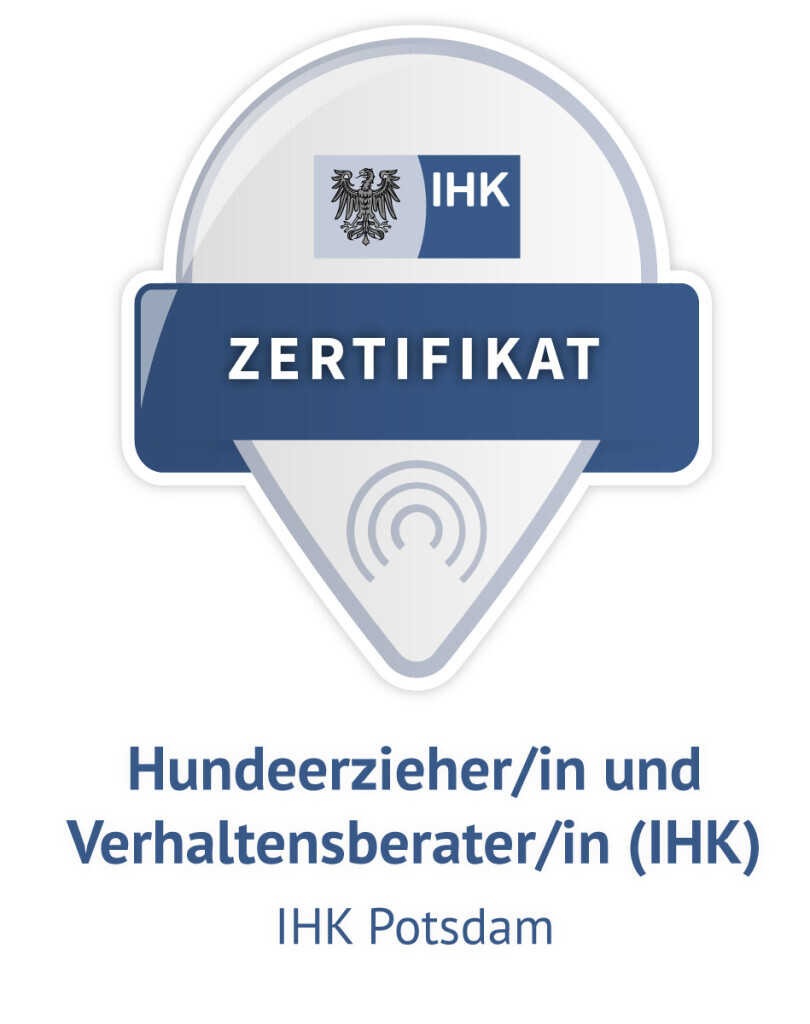 Bilder Wald und Hund Hundetraining