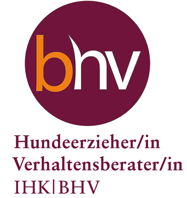 Bilder Wald und Hund Hundetraining