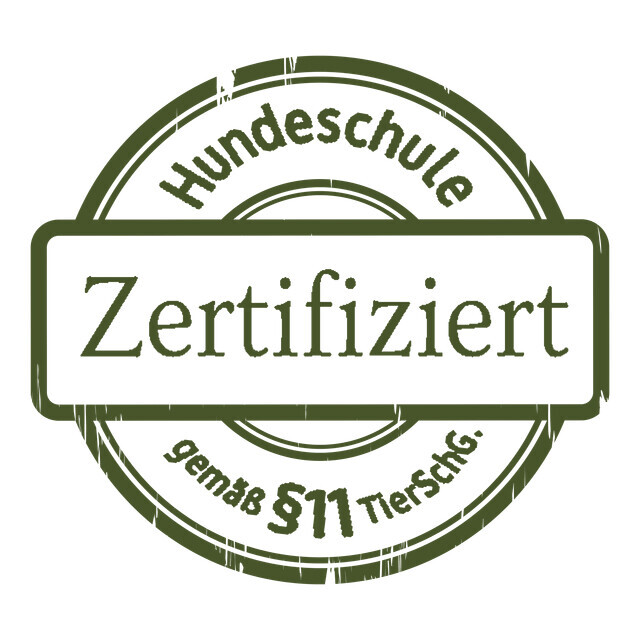 Bilder Wald und Hund Hundetraining