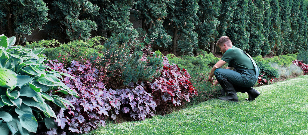 Bilder Hausmeisterservice Neumann