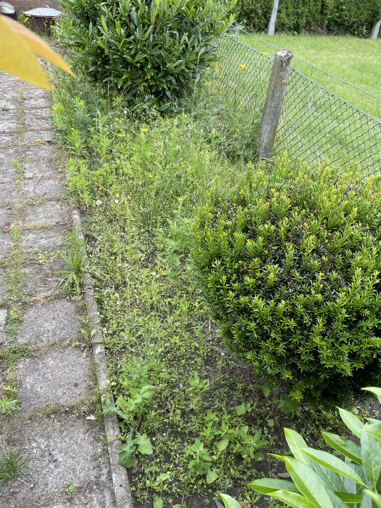 Bilder Erd Und Gartenbau Christian Hampel
