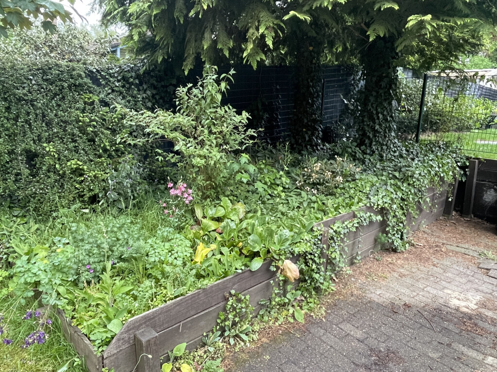 Bilder Erd Und Gartenbau Christian Hampel