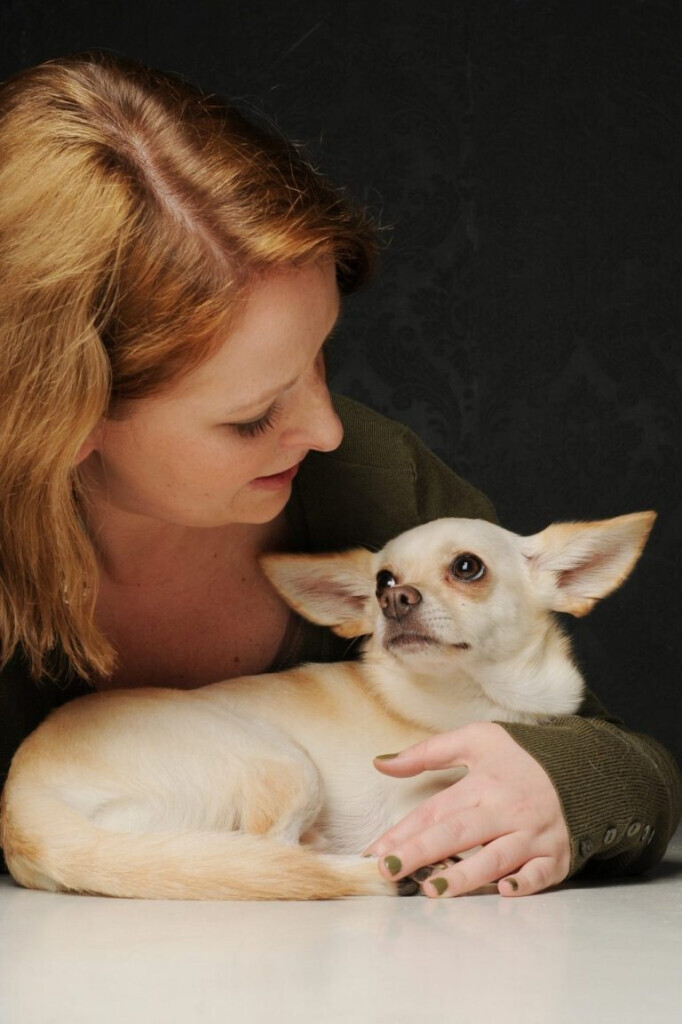 Bilder Die Hundeschule für kleine Rassen