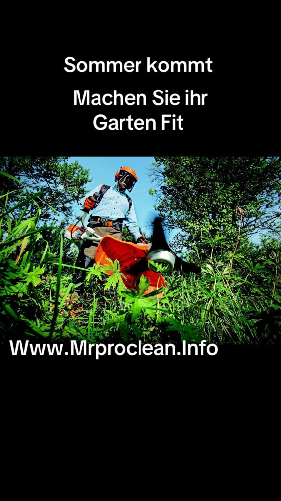 Bilder Mrproclean