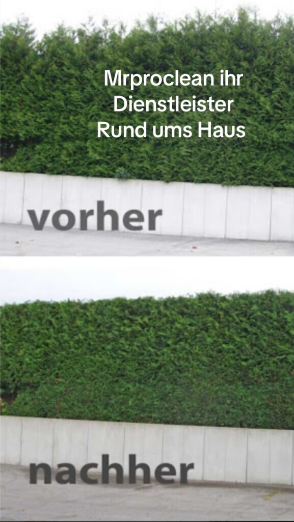 Bilder Mrproclean