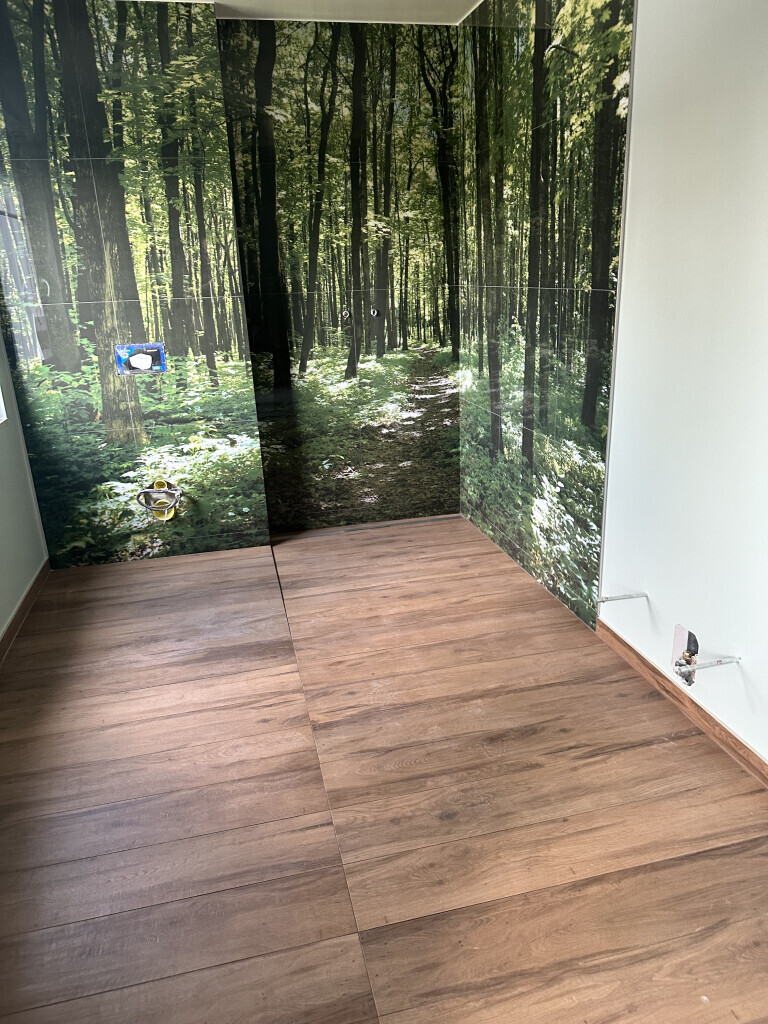 Bilder Eisinger -das Malerhandwerk, Maler u. Lackierermeister, Bausachverständiger 