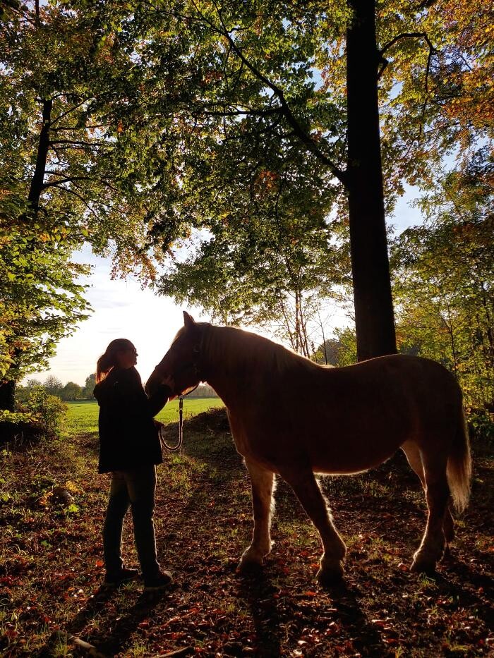 Bilder TierTherapieJasmina