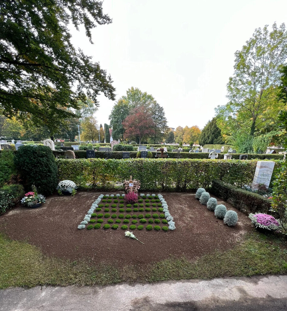 Bilder Garten Schubert Dienstleistungen
