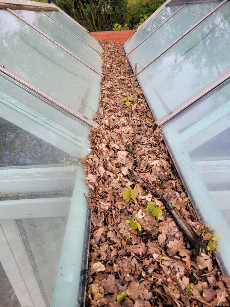 Bilder Gebäudereinigung Puchreiter