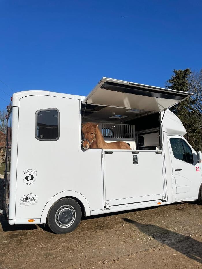 Bilder MC Horsetransport