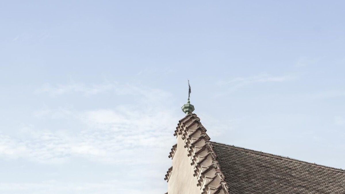 Bilder DAHLER Regensburg