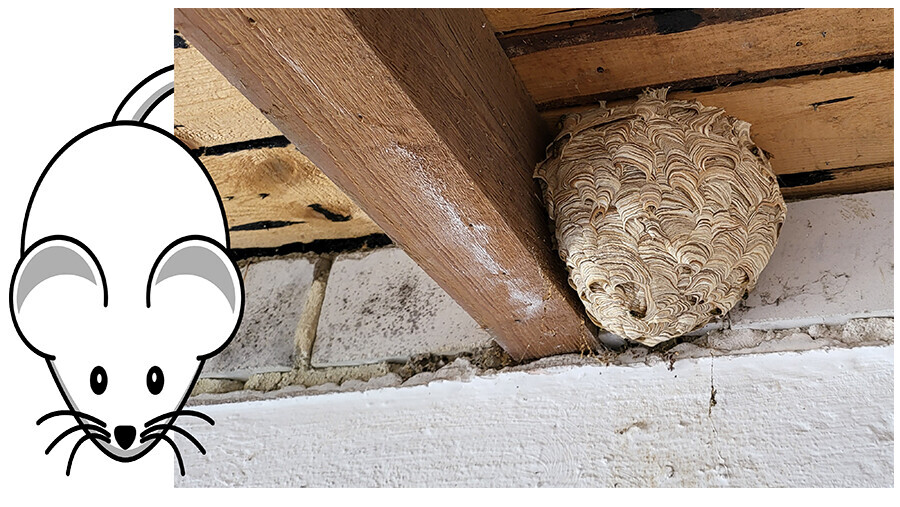 Bilder Erxleben Schädlings- & Hygienemanagement