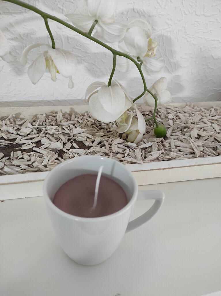 Bilder BeYvo-Natura