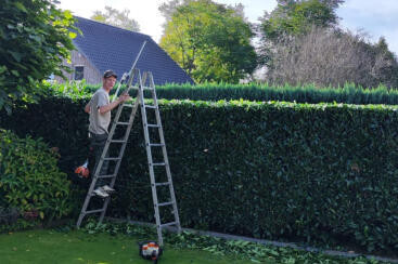 Bilder GartenVision Tobias Werner