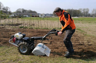 Bilder GartenVision Tobias Werner