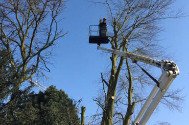 Bilder GartenVision Tobias Werner