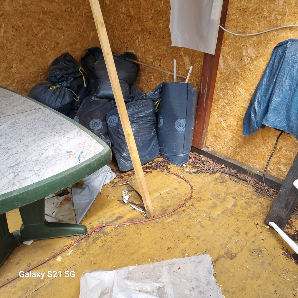 Bilder Rümpel Elfen