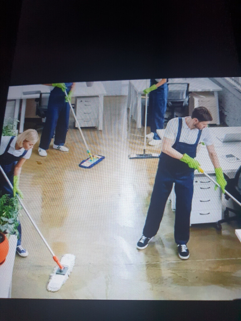 Bilder Boris reiningung und winterdienst