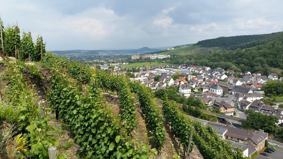 Bilder Ferienwohnung Ahrweiler