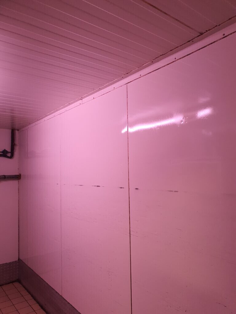Bilder Miro Gebäudereinigung