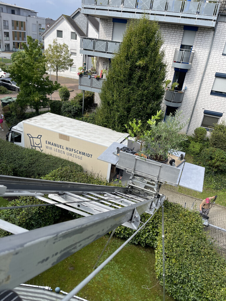 Bilder Umzüge Emanuel Hufschmidt