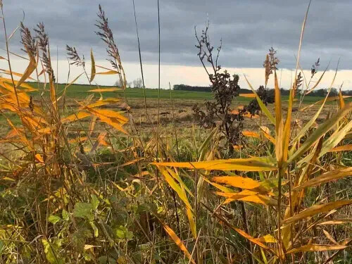 Bilder Oase der Ruhe, liebevolle und persönliche Bestattungen