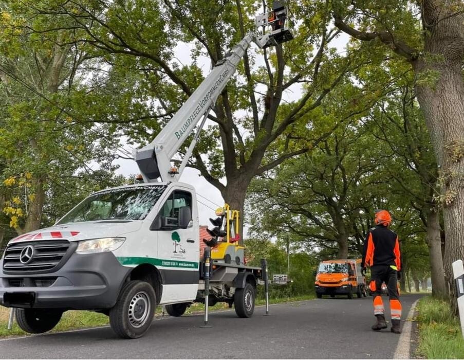 Bilder BV Baumpflege Vorpommern GmbH