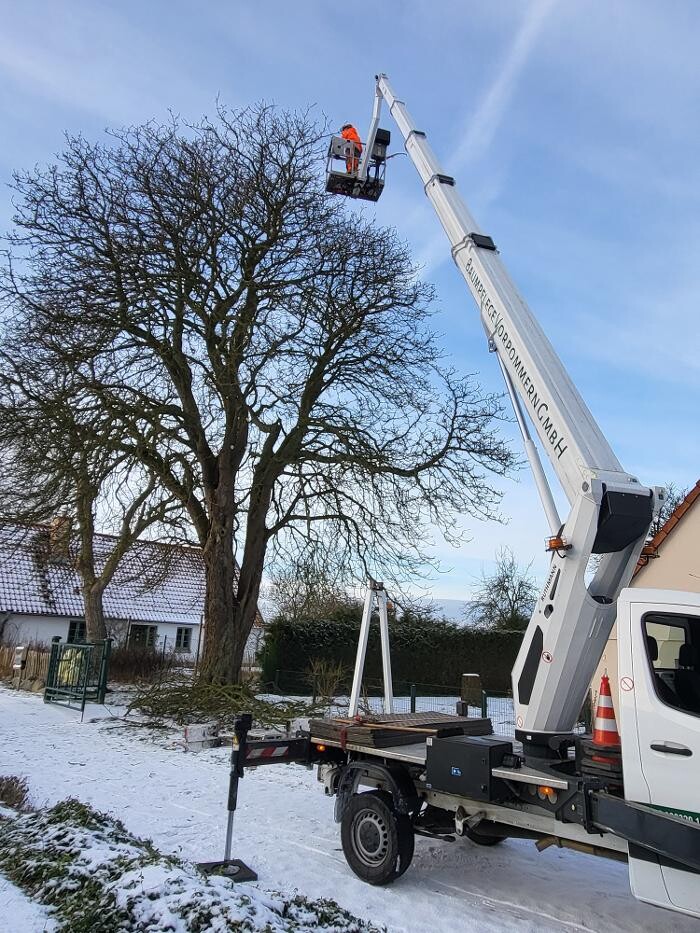 Bilder BV Baumpflege Vorpommern GmbH