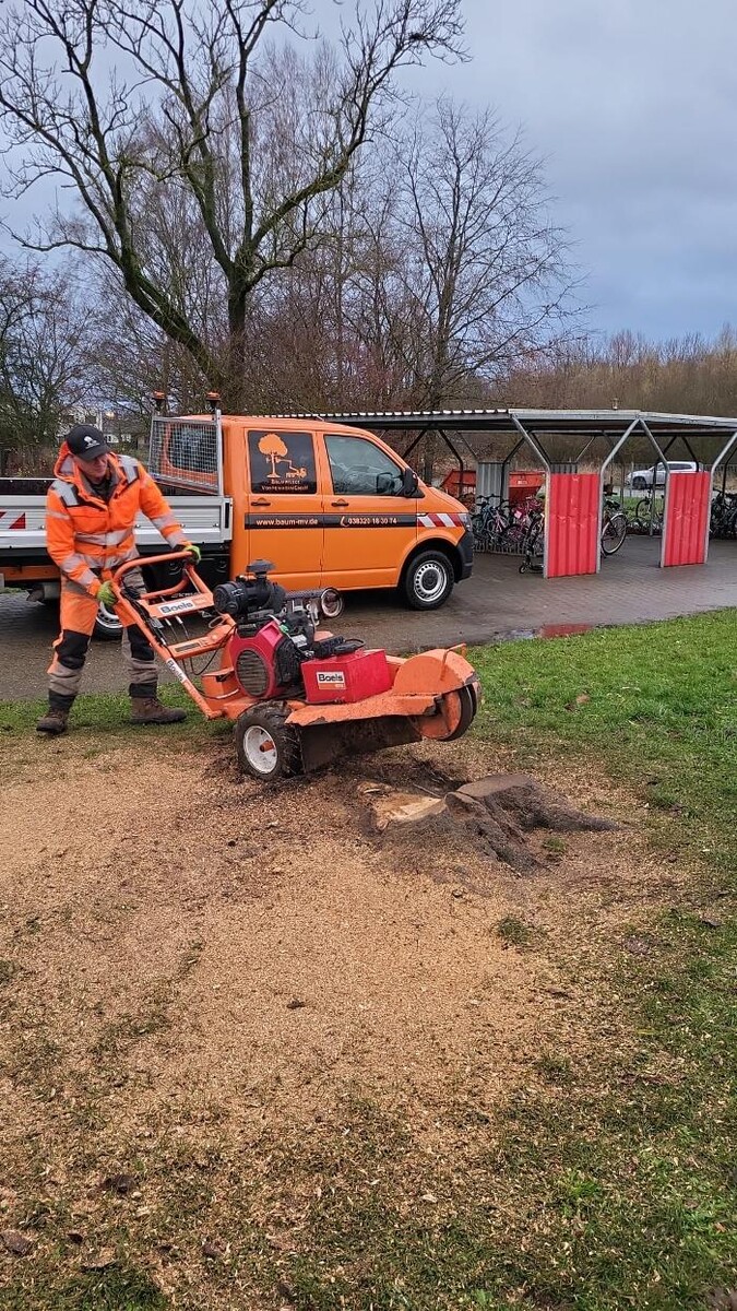 Bilder BV Baumpflege Vorpommern GmbH