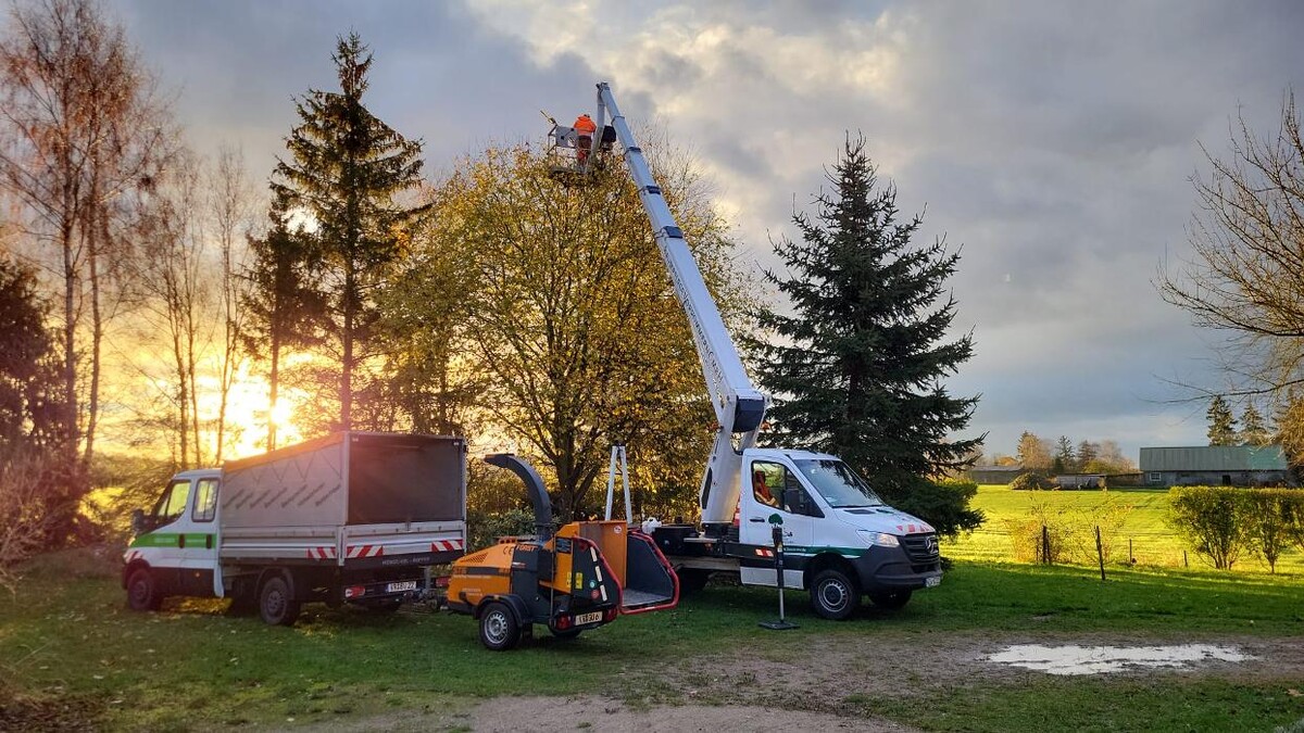 Bilder BV Baumpflege Vorpommern GmbH