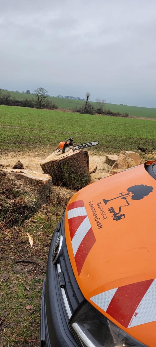 Bilder BV Baumpflege Vorpommern GmbH