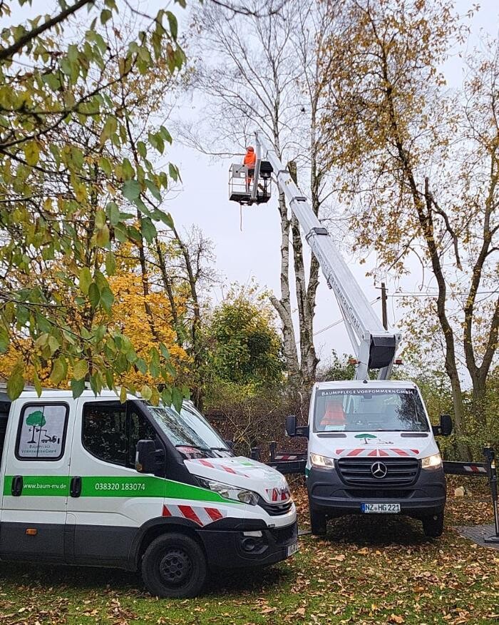 Bilder BV Baumpflege Vorpommern GmbH